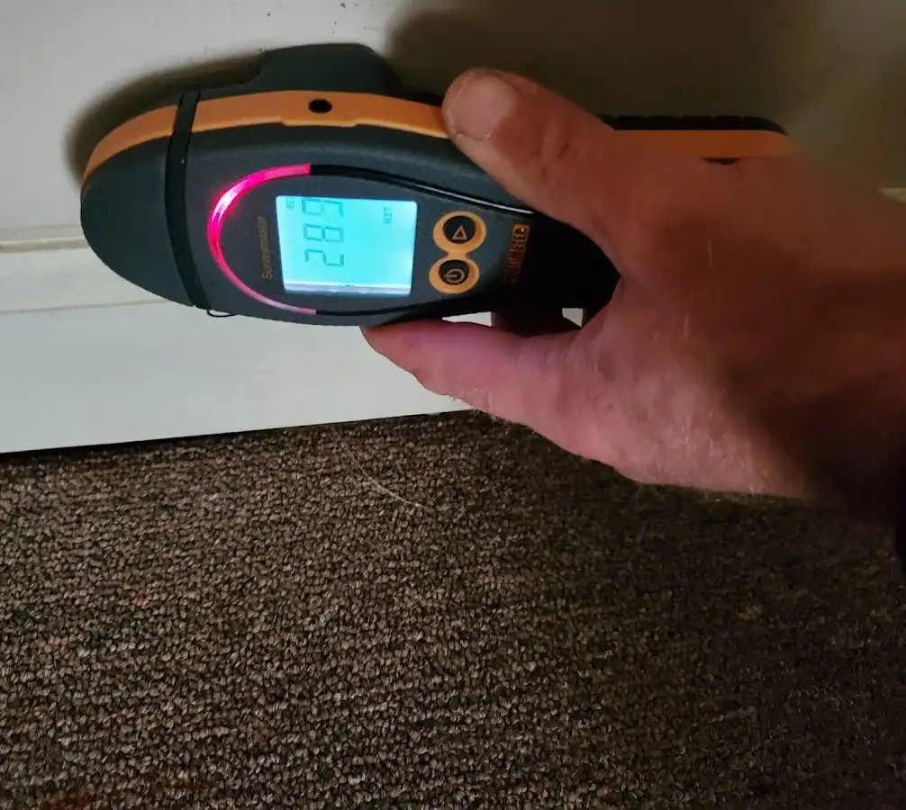 Moisture detection at baseboard during Sewage Cleanup & Sanitation in College Park